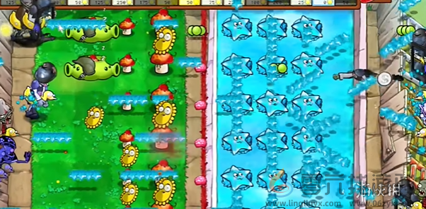 植物大战僵尸杂交版一半一半怎么过(图6) 植物大战僵尸杂交版一半一半怎么过(图6)