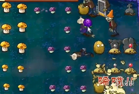 植物大战僵尸抽卡版冒险模式2-2怎么过(图6) 植物大战僵尸抽卡版冒险模式2-2怎么过(图6)