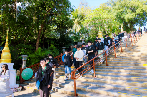 2024第三届海峡两岸暨港澳电竞联赛 总决赛开幕(图11) 2024第三届海峡两岸暨港澳电竞联赛 总决赛开幕(图11)